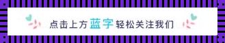 锵锵潮头站-凄切科技范儿