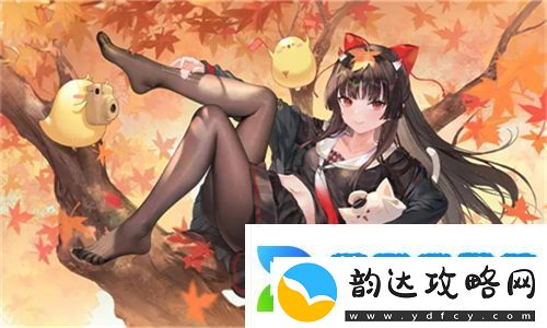 欧洲尺码日本尺码专线不卡顿-无障碍购物体验:如何选择适合你的国际鞋码