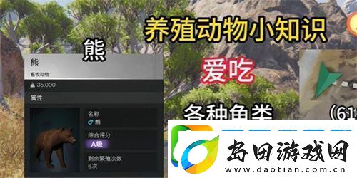 七日世界养什么动物好