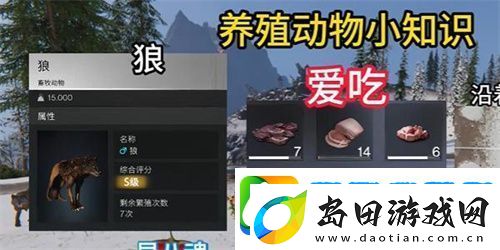 七日世界养什么动物好-七日世界动物养殖推荐