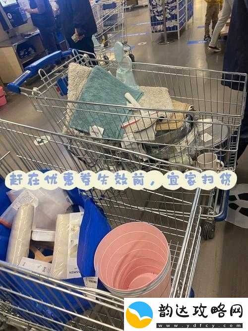 小扫货能么多叫出来公:畅享便捷实惠购物之旅资讯速递
