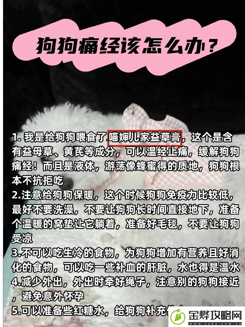 新我家狗狗卡在里面痛怎么办-紧急情况处理指南