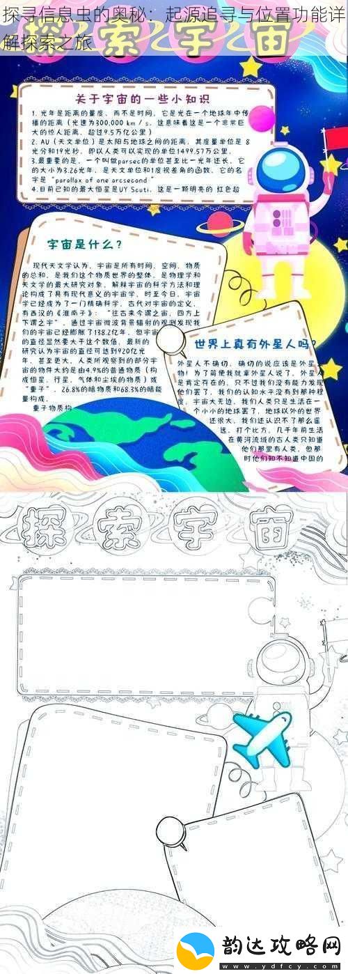 探寻信息虫的奥秘:起源追寻与位置功能详解探索之旅
