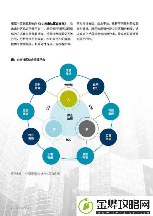 射区关于其发展历程与未来前景的深入探讨及分析