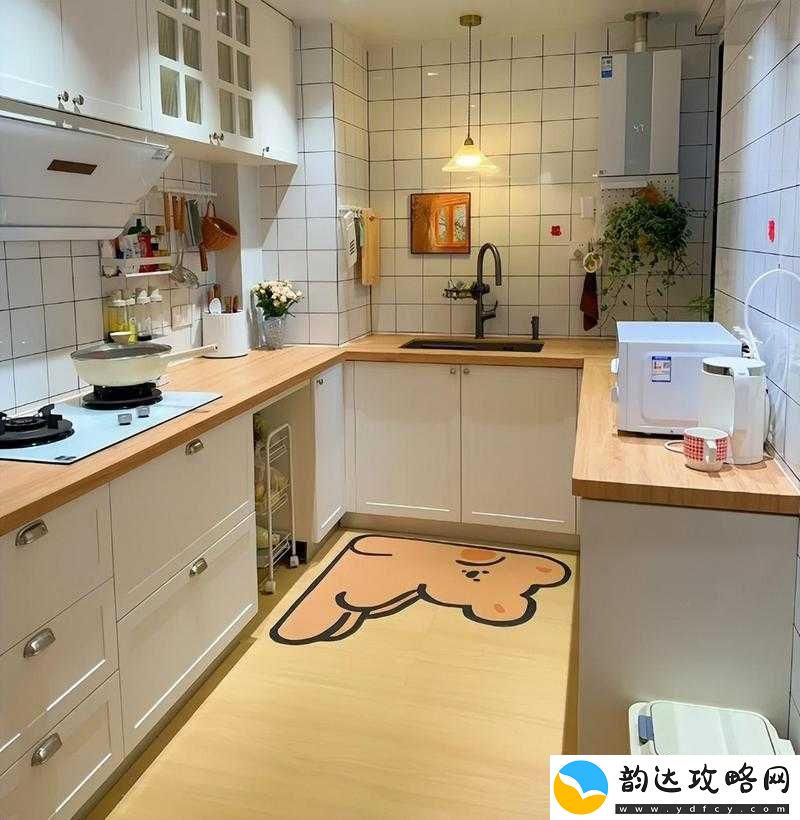 日本亲与子乱厨房相关事件引发热议