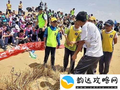 边境之旅体力系统深度解析-红色和绿色体力差异及有效应对策略