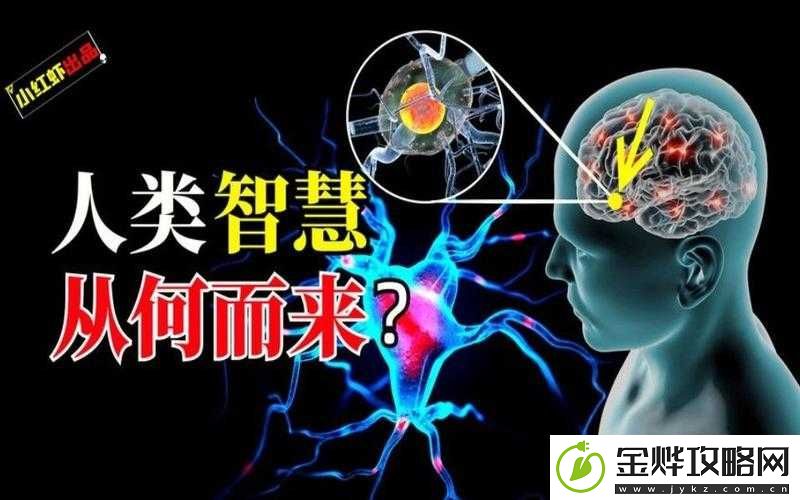 美国-37-大人文艺术:探索人类智慧与创造力的无限可能