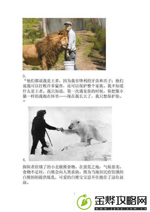 人与动物交互的奇妙故事