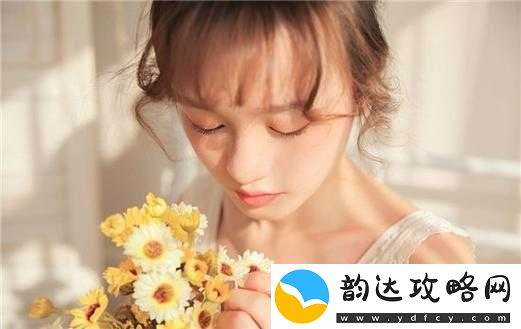 日韩美一区二区之独特魅力与精彩呈现
