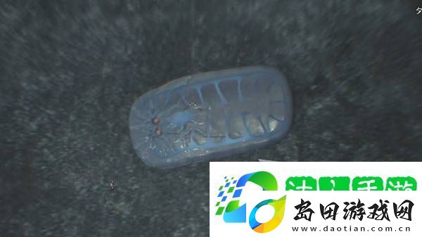 怪物猎人荒野大虚无动在哪捕获