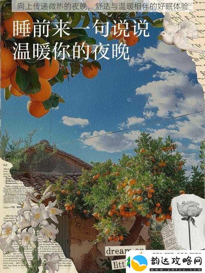 向上传递微热的夜晚舒适与温暖相伴的好眠体验