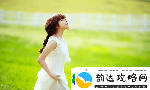 免费站在线观看人数更新时间:流量高峰时间揭晓-早知道早爆火!