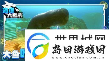 挨饿荒野菲律宾海岛海虾怎么抓-探秘荒岛生存技巧与捕虾方法