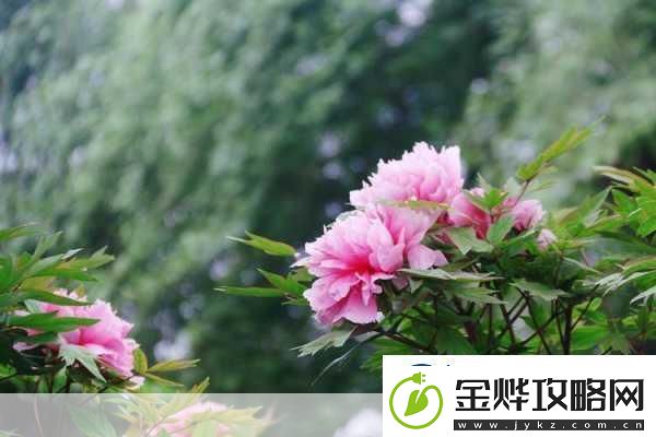亭亭玉立国色天香四月天科普带你走进春天