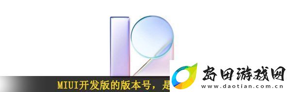 miui开发版的版本号是以什么命名的-MIUI12.5内测申请答题答案