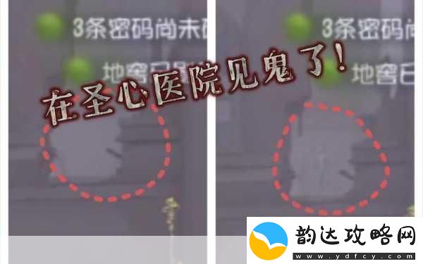 第五人格圣心医院出生点全揭秘