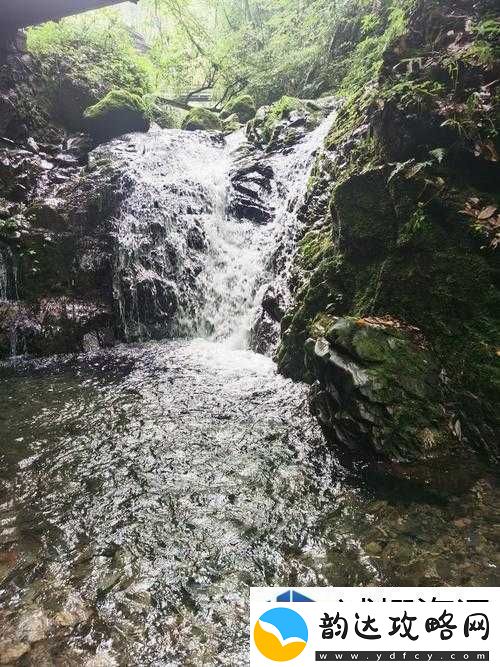 战队组建合作艺术:桃花洞口已是溪水潺潺深受广大友好评回应引发的思考与探讨