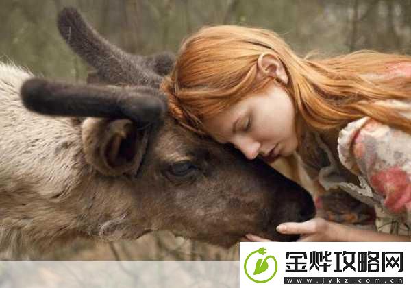 人物动物互动高清视频素材"人与动物互动:心灵契合的瞬间