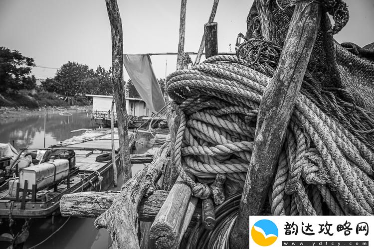 老卫渔船篇:时尚潮流的“弄潮儿”