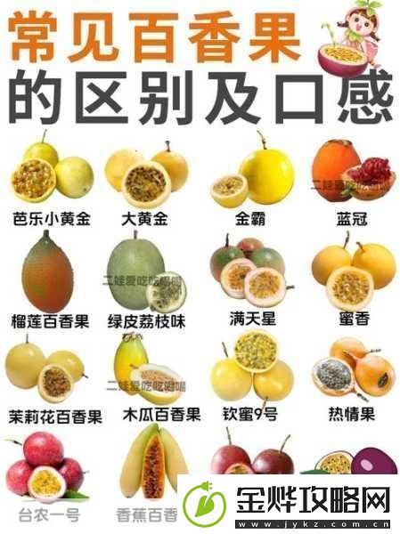超过-35-百香果就很难结果对吗-探秘百香果结果的温度密码