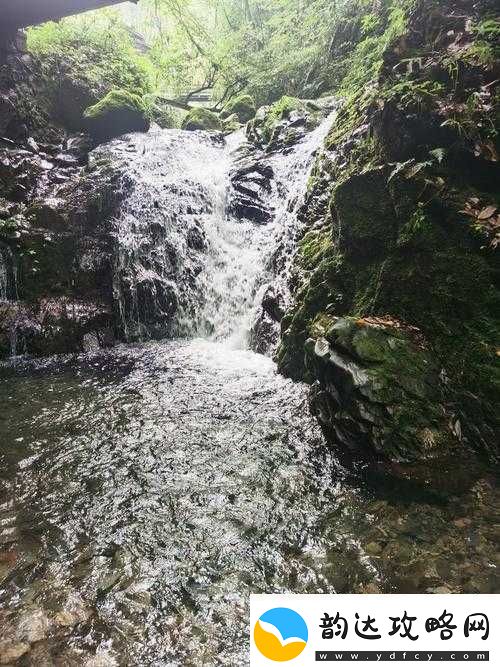 桃花洞口已是溪水潺潺深受广大友好评回应引发的思考与探讨