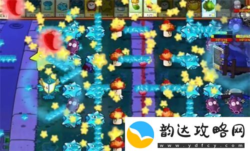 PVZ杂交版益智模式忧郁咖啡豆2过关攻略