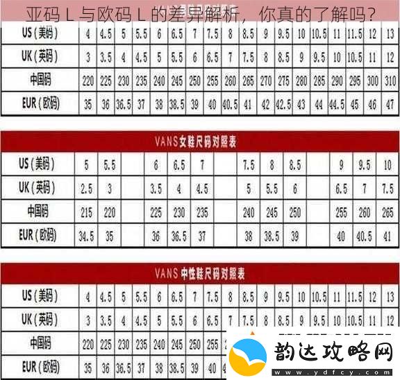亚码-L-与欧码-L-的差异解析-你真的了解吗