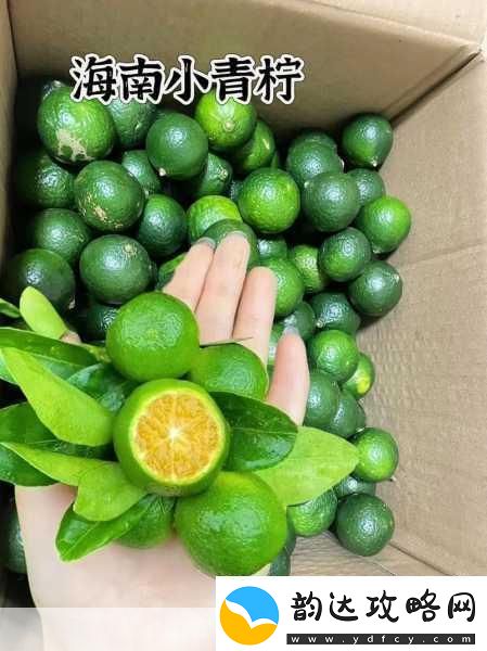 青柠在线观看视频不光有视频还有直播青柠视频直播:精彩内容随时畅享