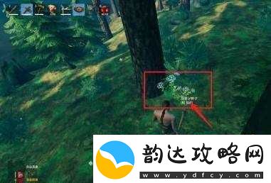 英灵神殿攻略:高效捕猎技巧分享