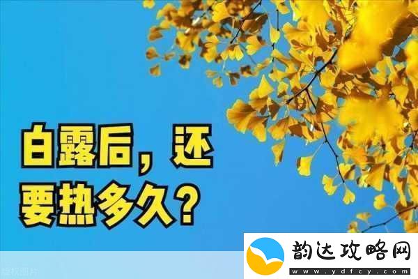 久久热在线观看