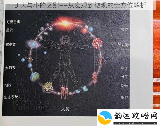 B-大与小的区别——从宏观到微观的全方位解析