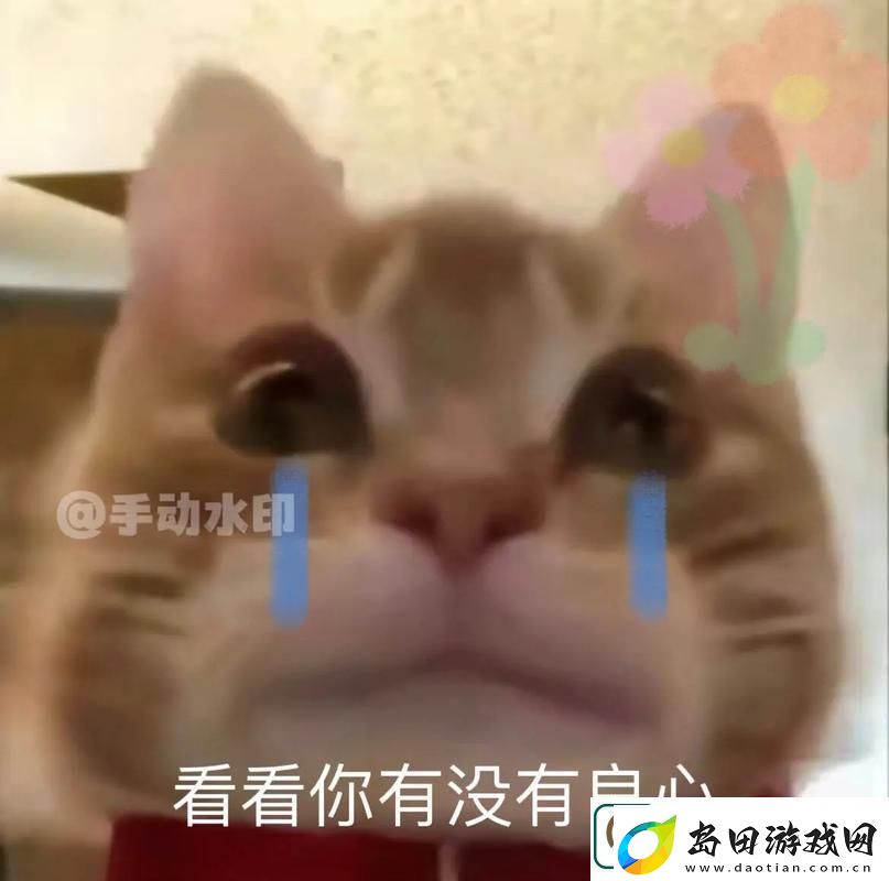 细数男人把QQ号放进女人表情包里友纷纷热议