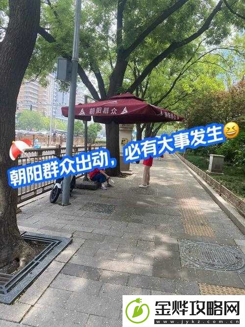 朝阳群众-51CGFUN-入口:揭秘神秘组织的络世界