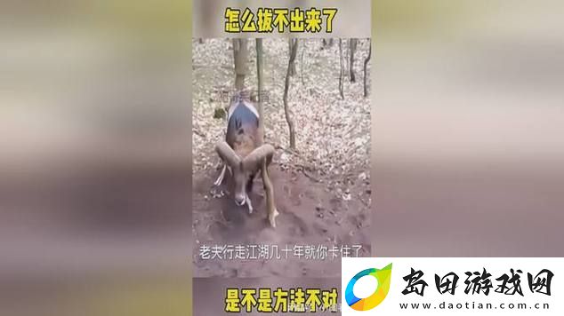 老师下面太紧拔不出来怎么办-友:合理沟通-别让误解加剧