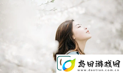 17C.C:确保数据安全与隐私保护-让用户在文书生成中无后顾之忧