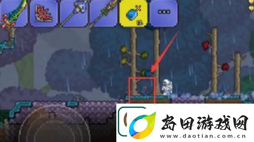 泰拉瑞亚神圣的种子怎么种