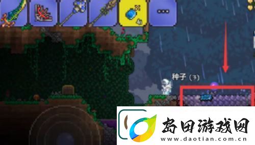 泰拉瑞亚神圣的种子怎么种