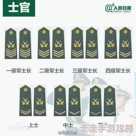 萤火突击军衔等级划分及详细介绍:全面了解从预备役到五星上将的晋升之路