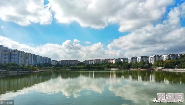 *一级片:最新动态揭示行业发展趋势与市场变化-分析未来潜力与挑战