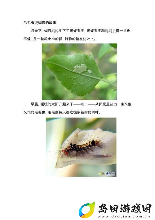 他的舌头探进蜜源毛毛虫说说-生活的微妙观察与思考