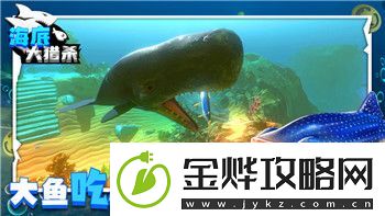 影子武士2设置中文的详细步骤与常见问题解析-快速上手指南