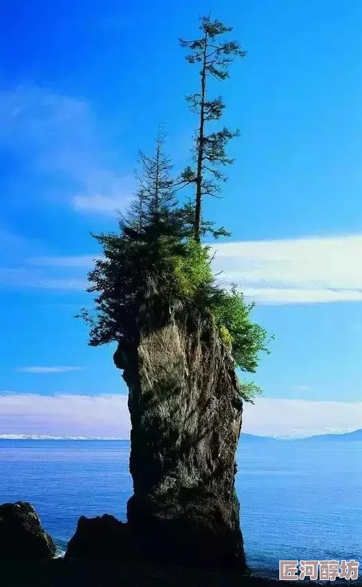 海角绿意盎然披风少年:近日-这位少年在海角的绿色景观中展现了他的独特魅力与环保理念-引发广泛关注