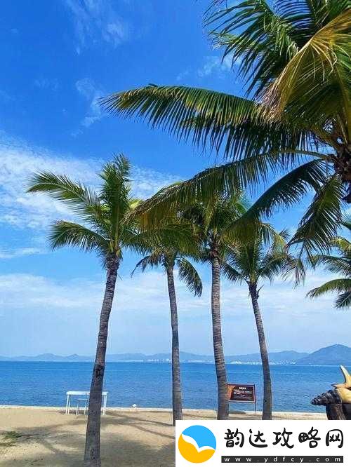 绿意盎然海角侄子:夏日海滨的清新之旅
