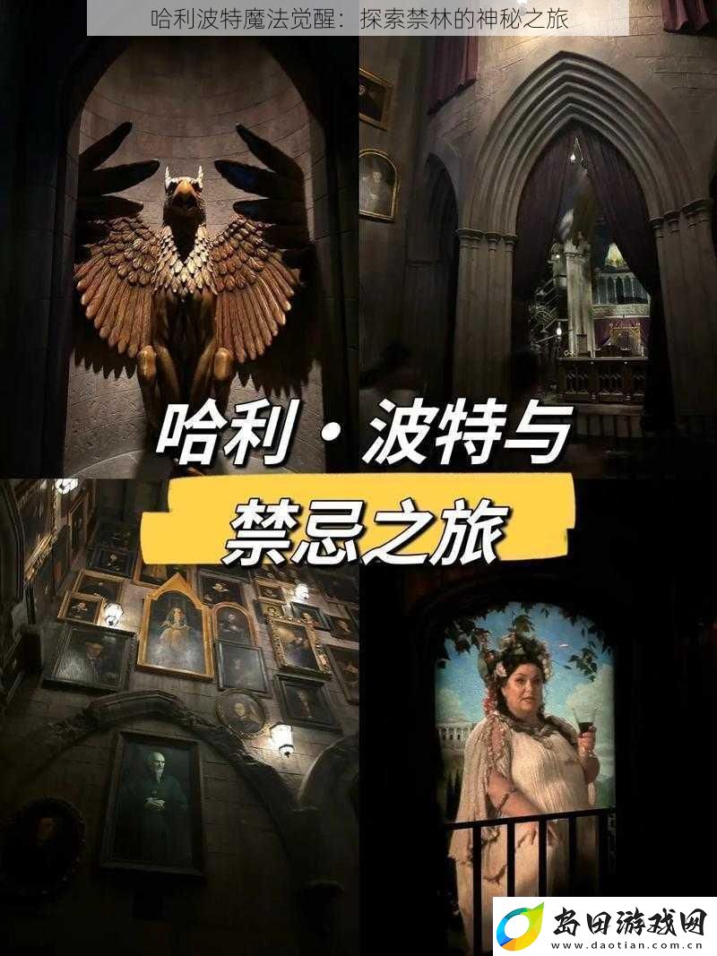 哈利波特魔法觉醒:探索禁林的神秘之旅
