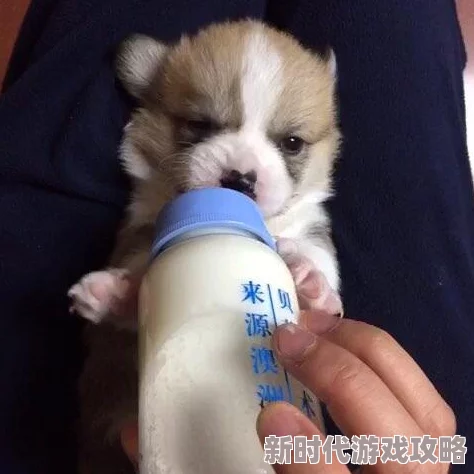 嘿咻动态图吃奶xx