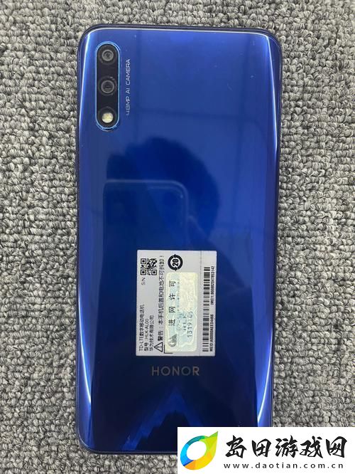 内容丰富X9X9X9搡BBBB搡BBB-探索独特的文化现象