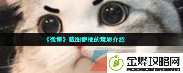 截图癖是什么意思-截图癖梗的意思介绍