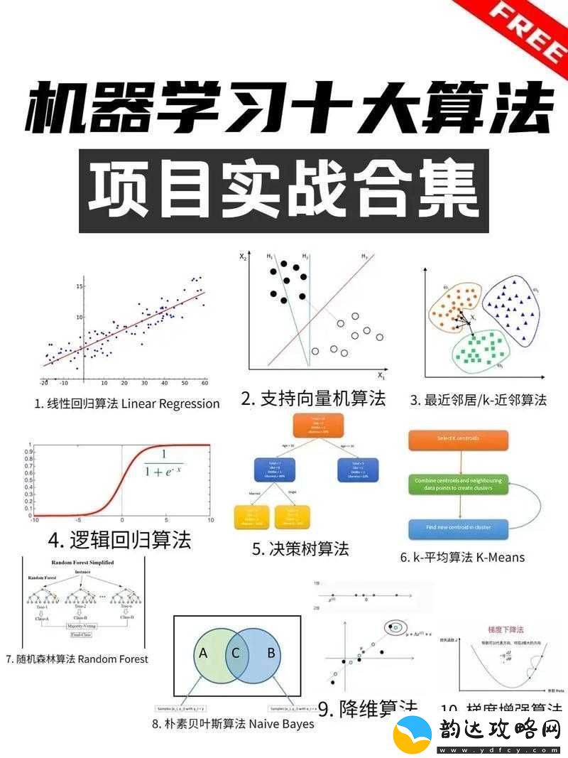 从入门到精通:SSD-算法实战