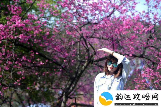 春夜散步下