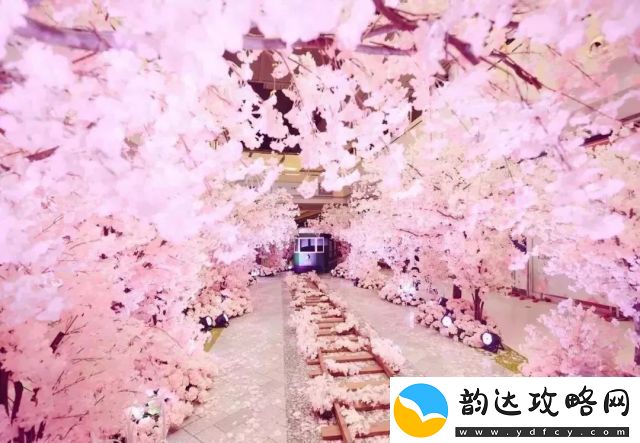 春夜散步下-乳色吐息樱花无删减——为你揭开浪漫樱花季少年的爱情盛宴与青涩怀旧